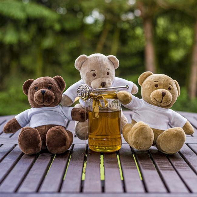 Promotional Siddy Brown Plush teddy bear - GP20124