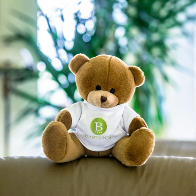 Promotional Nicky Brown, plush teddy bear - GP21164