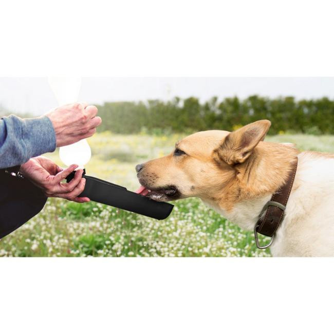 Promotional Travel bottle 250 ml for dog, water bowl with carabiner | Maud - GP50020