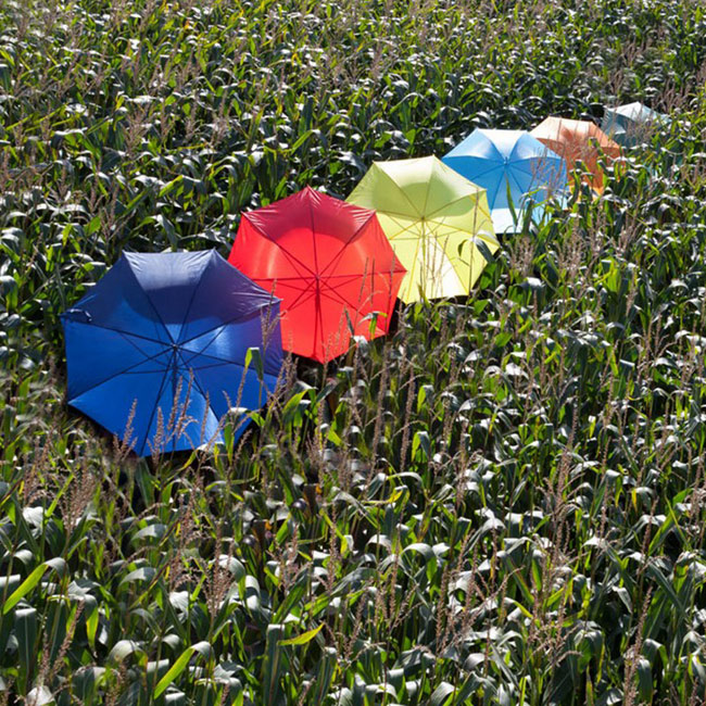 Promotional Automatic umbrella - GP54221