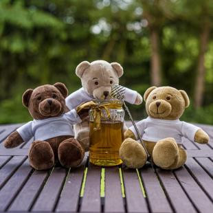 Promotional Siddy Honey, plush teddy bear - GP20118