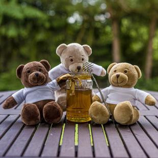 Promotional Siddy Brown Plush teddy bear - GP20124