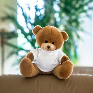 Promotional Nicky Brown, plush teddy bear - GP21164
