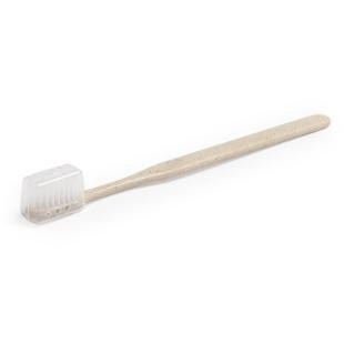 Promotional Tooth brush with case - GP50894