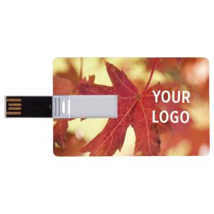Promotional Card Usb memory stick - GP53082