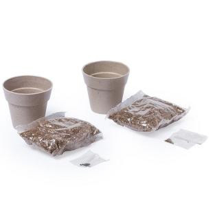 Promotional Herb garden set - GP57921