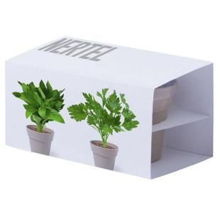 Promotional Herb garden set - GP57921