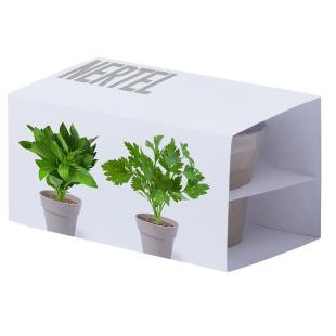 Promotional Herb garden set - GP57921