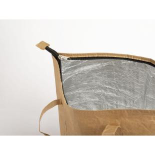 Promotional Paper cooler bag - GP58186