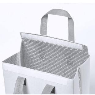 Promotional Cooler bag - GP58275