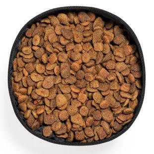 Promotional RPET foldable bowl for dog - GP58340