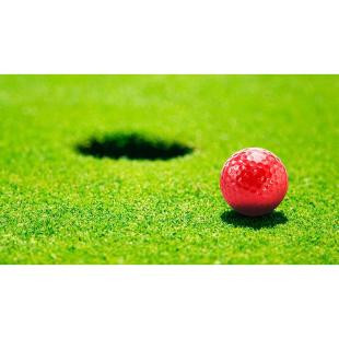 Promotional Golf ball - GP58676