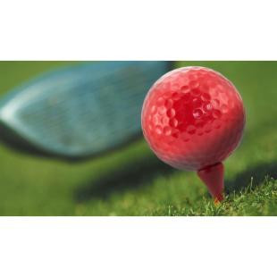 Promotional Golf ball stand - GP58677
