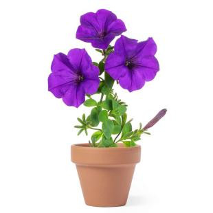 Promotional Flower pot - GP58883