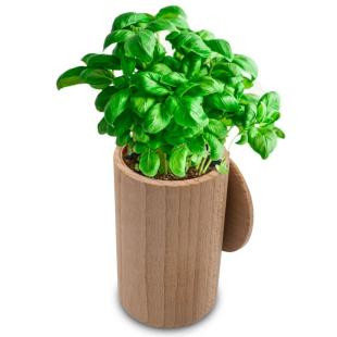 Promotional Wooden flower pot, basil seeds and soil - GP59964