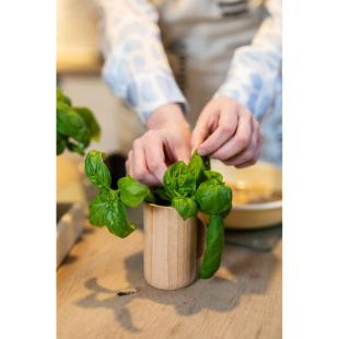 Promotional Wooden flower pot, basil seeds and soil - GP59964